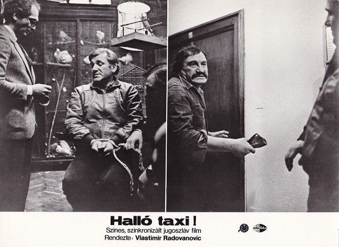 Halo taksi - Lobbykaarten