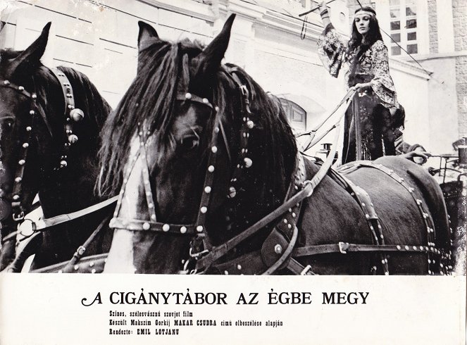 Queen of the Gypsies - Lobby Cards - Svetlana Tomová
