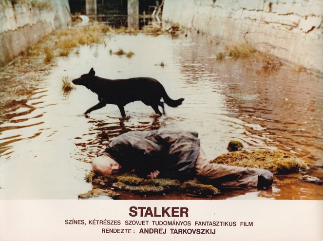 Stalker - Lobby karty
