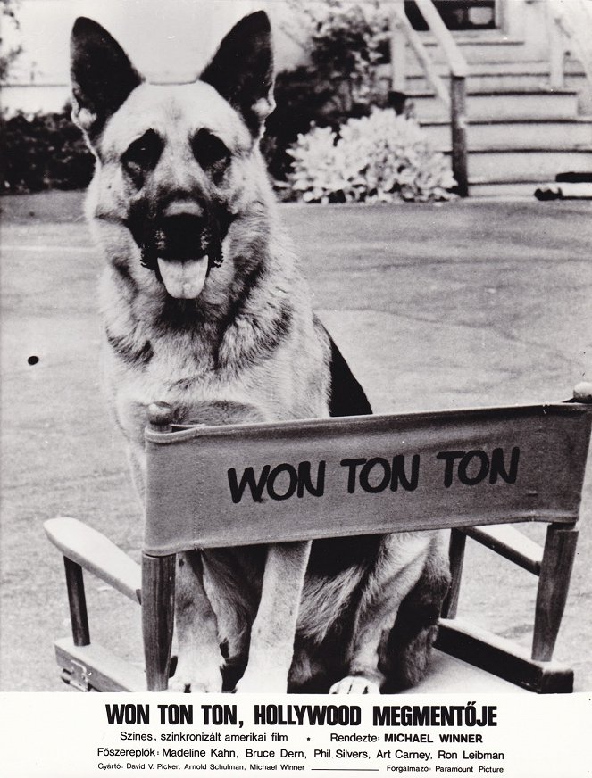 Won Ton Ton, Hollywood megmentője - Vitrinfotók
