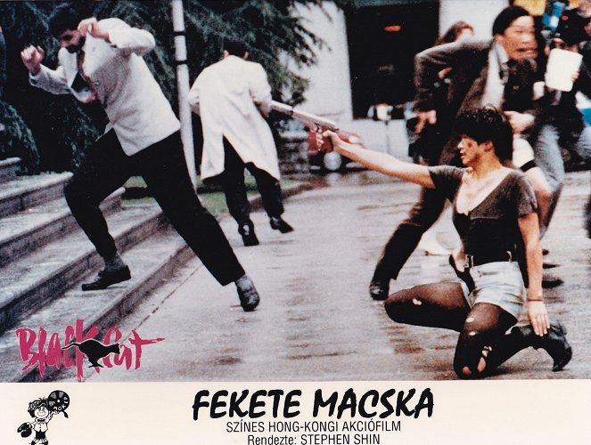 Fekete macska - Vitrinfotók