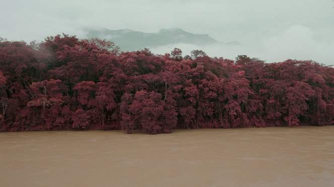 Tierra mojada - Film