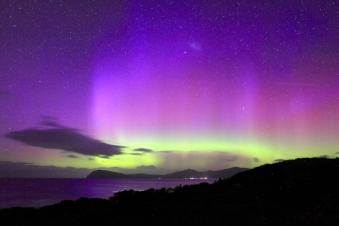 The Natural World - Tasmania: Weird and Wonderful - Film