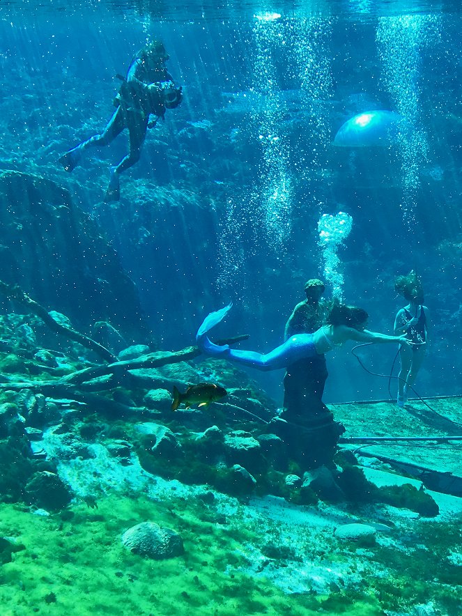 Xtreme Underwater - De filmes