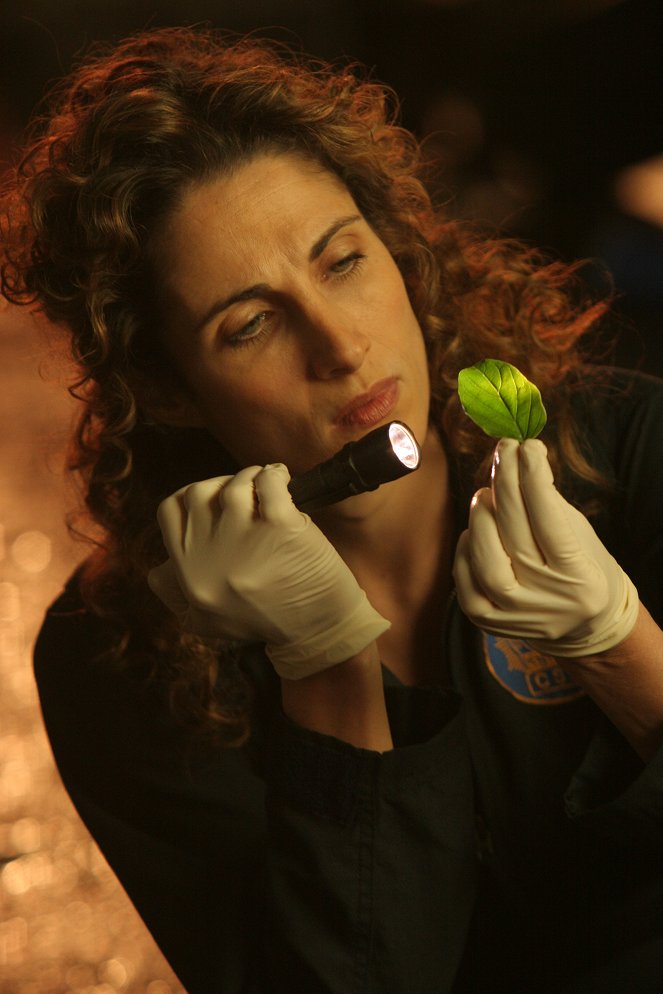 CSI: New York - Live or Let Die - Kuvat elokuvasta - Melina Kanakaredes