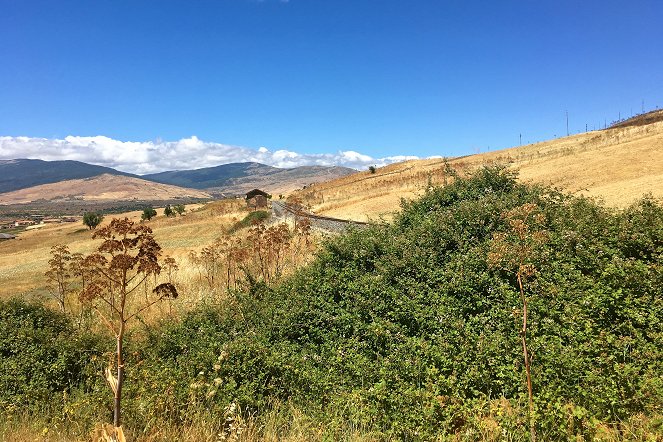 Wo die Zitronen blüh'n - Eine süßsaure Reise von den Alpen bis Sizilien - Photos