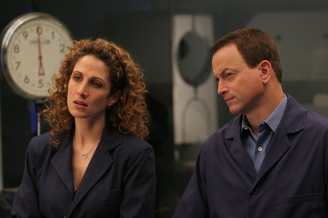 CSI: New York - Supermänner - Filmfotos - Melina Kanakaredes, Gary Sinise