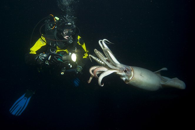 Life - Creatures of the Deep - De la película
