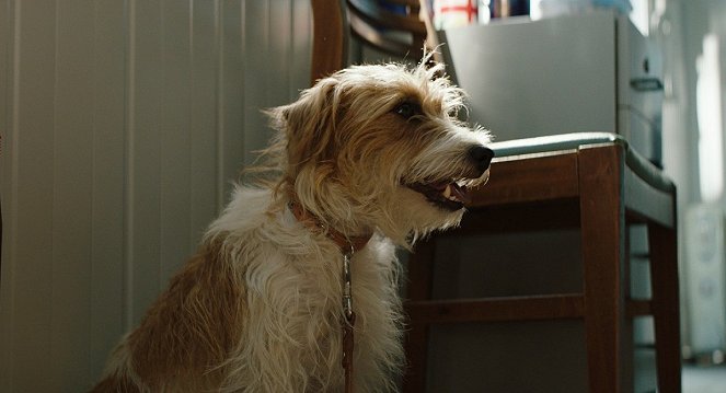 A kutyám nélkül sehova - Filmfotók