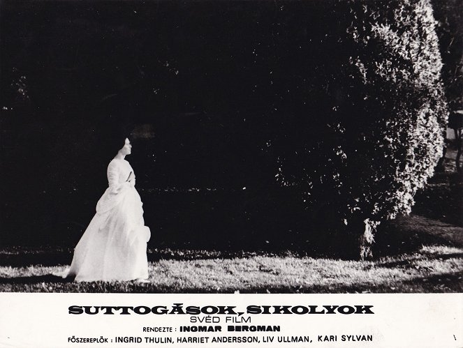 Suttogások, sikolyok - Vitrinfotók