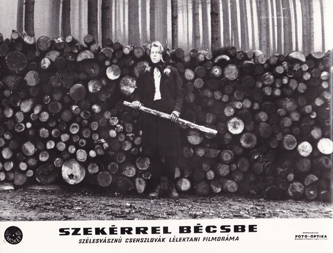 Szekérrel Bécsbe - Vitrinfotók