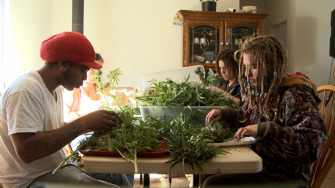 Drugs, Inc. - Marijuana Mayhem - Kuvat elokuvasta