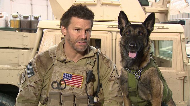 SEAL Team - Season 1 - Dreharbeiten - David Boreanaz, Hund Dita