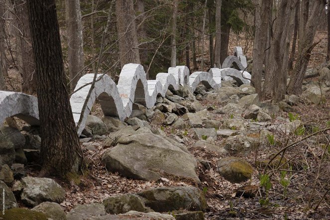 Leaning into the Wind: Andy Goldsworthy - Photos
