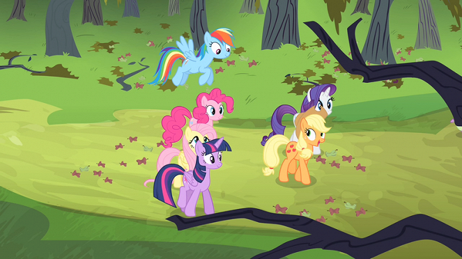 My Little Pony : Les amies, c'est magique - Chauves-souris ! - Film