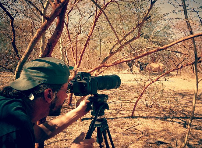 Češi zachraňují - Antilopy v Senegalu - Van film