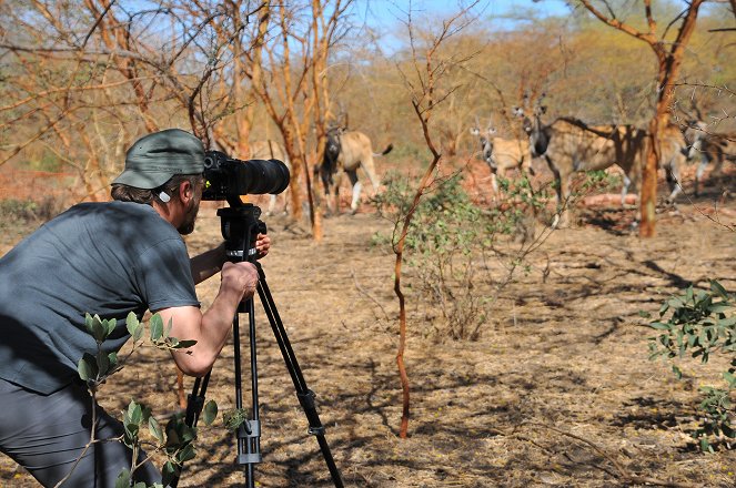 Češi zachraňují - Antilopy v Senegalu - Filmfotók