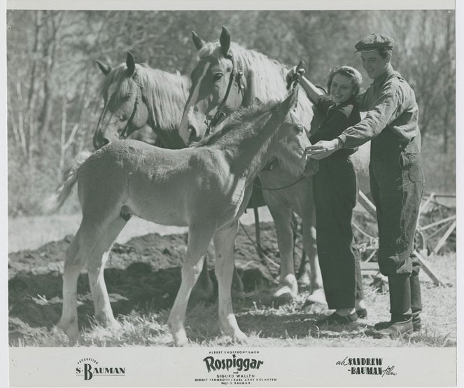 Rospiggar - Lobby Cards