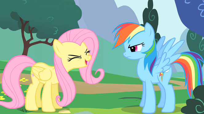 My Little Pony: Friendship Is Magic - Sonic Rainboom - De la película