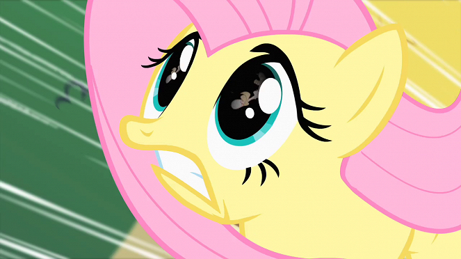 Můj malý Pony: Přátelství je magické - Ptačí pacient - Z filmu