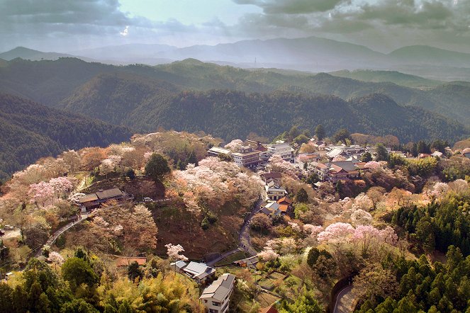 Le Japon vu du ciel - Le Berceau des traditions - Film