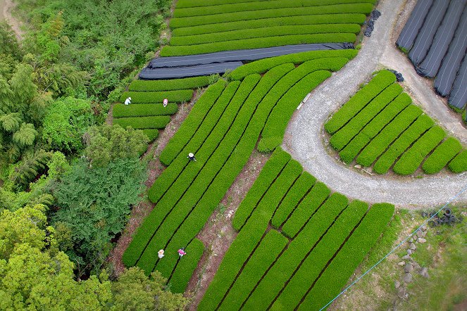 Japan von oben - Schatzinseln - Filmfotos