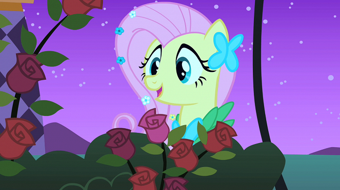 My Little Pony: Przyjazń to magia - Season 1 - Niezapomniany wieczór - Z filmu