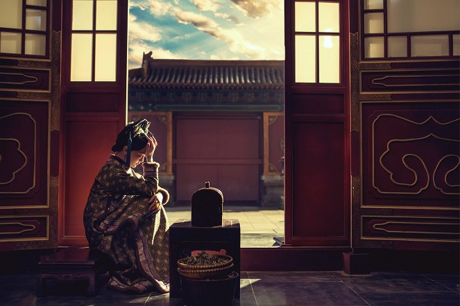 Ruyi's Royal Love in the Palace - Film