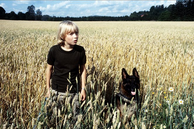 Schäferhunden Roi - Kuvat elokuvasta - Paavo Westerberg, Jami-koira