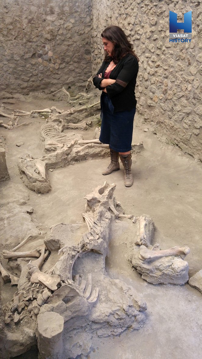 Pompeii's Final Hours: New Evidence - De la película - Bettany Hughes