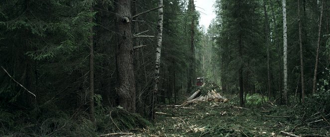 A Floresta - Do filme