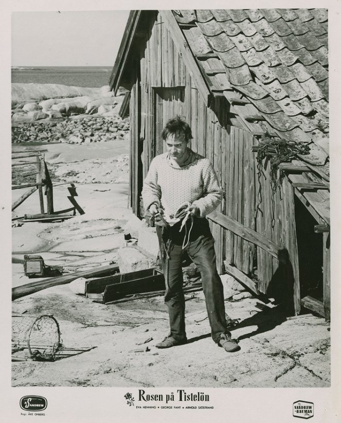 Rosen på Tistelön - Lobby Cards - Bengt Ekerot