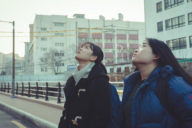 Yeonghaeui balam - Van film