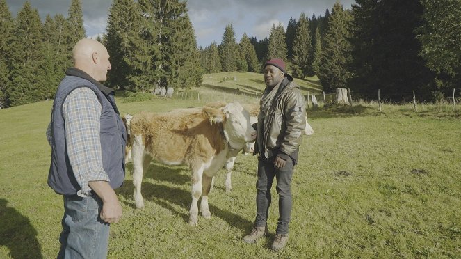 ZDFzeit: Nelson Müllers Lebensmittelreport - Wie gut sind Bio-Tomaten, Edel-Rindfleisch & Schokolade? - Z filmu - Nelson Müller