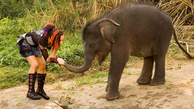 Zoo rendžeri v Indii - Z filmu