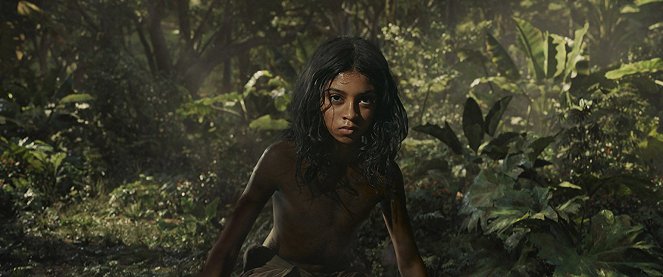 Mauglí - příběh džungle - Z filmu - Rohan Chand