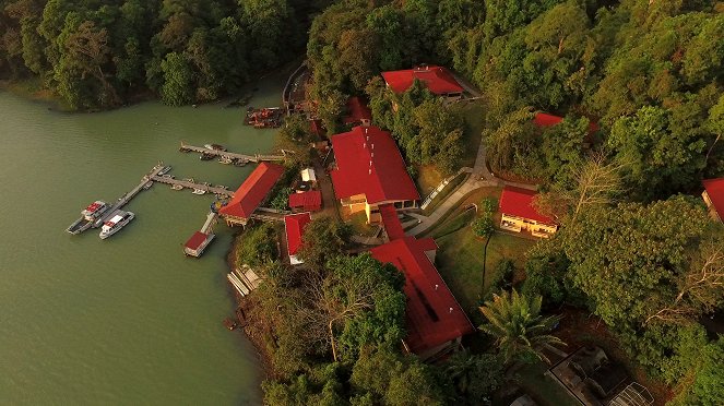 Mysteries of the Rainforest - De la película