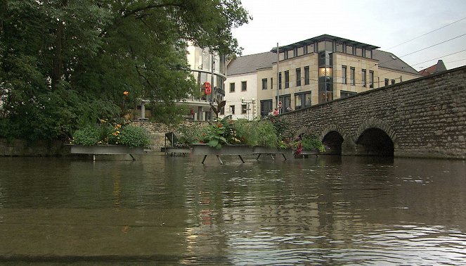 Wildes Erfurt - Äsche in der Gera und Hamster im Feld - Z filmu