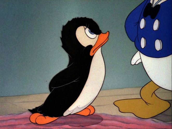 Donald a tučňák - Z filmu