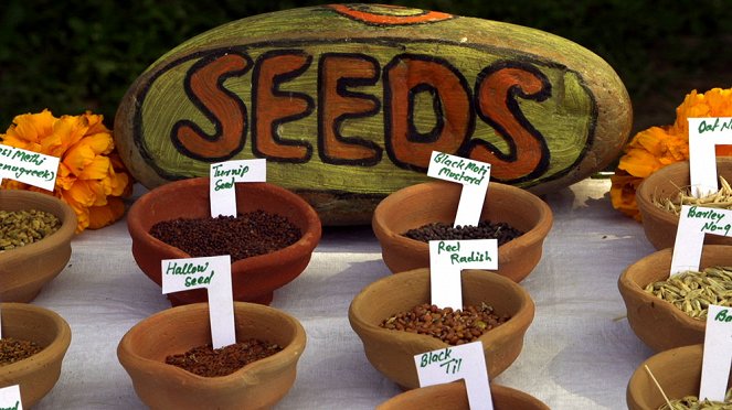 Seed: The Untold Story - Van film