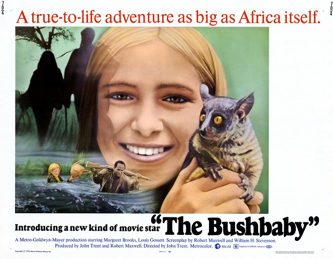 The Bushbaby - Lobby Cards