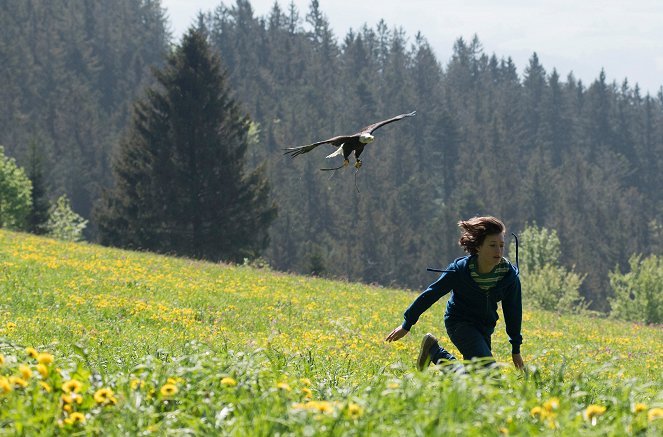 Tiere bis unters Dach - Season 7 - Adlerschwingen - Filmfotos