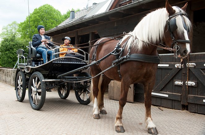 Tiere bis unters Dach - Pferdeschmerz - Kuvat elokuvasta