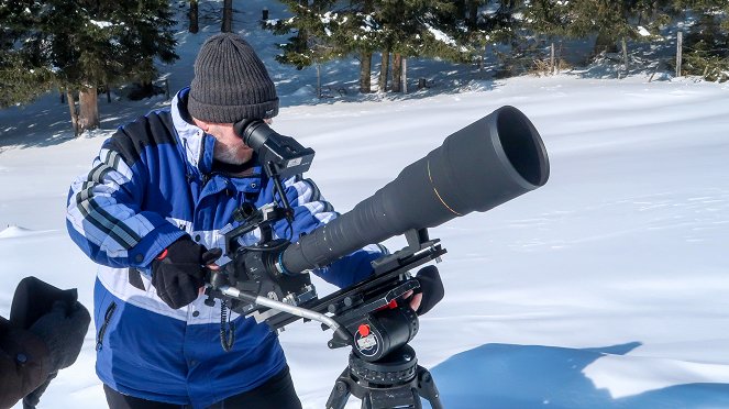 Universum: Geheimnisvolle Eichhörnchen - Z filmu