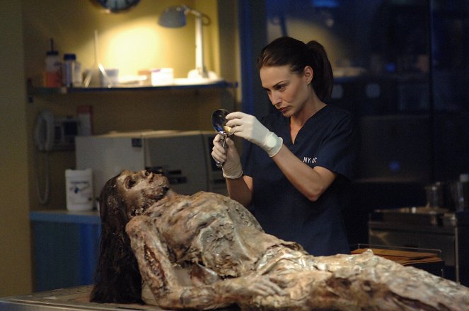 CSI: NY - Not What It Looks Like - Photos - Claire Forlani