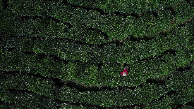 Na cestě - Na cestě po střeše Indočíny - Filmfotos