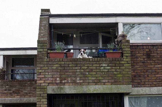 Dispossession - The Great Social Housing Swindle - Photos