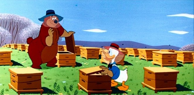 Donald et les abeilles - Film