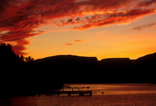 Norwegens wilde Fjorde - Von Riesenkrabben und Wolfsfischen - De la película