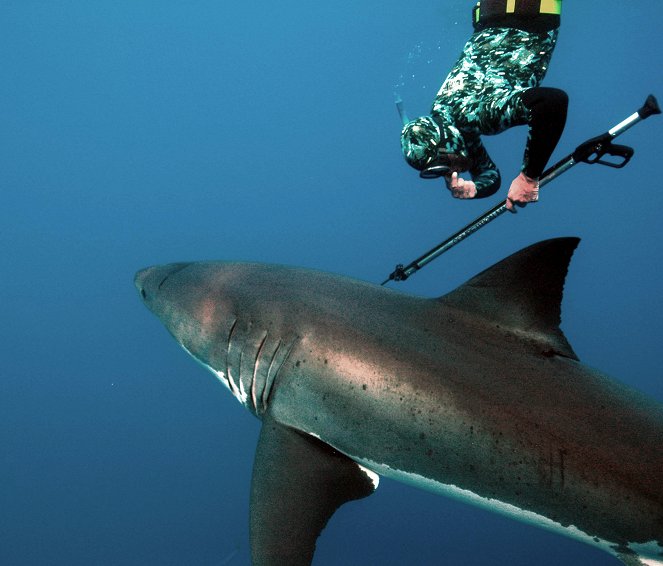 Air Jaws: Walking with Great Whites - Z filmu